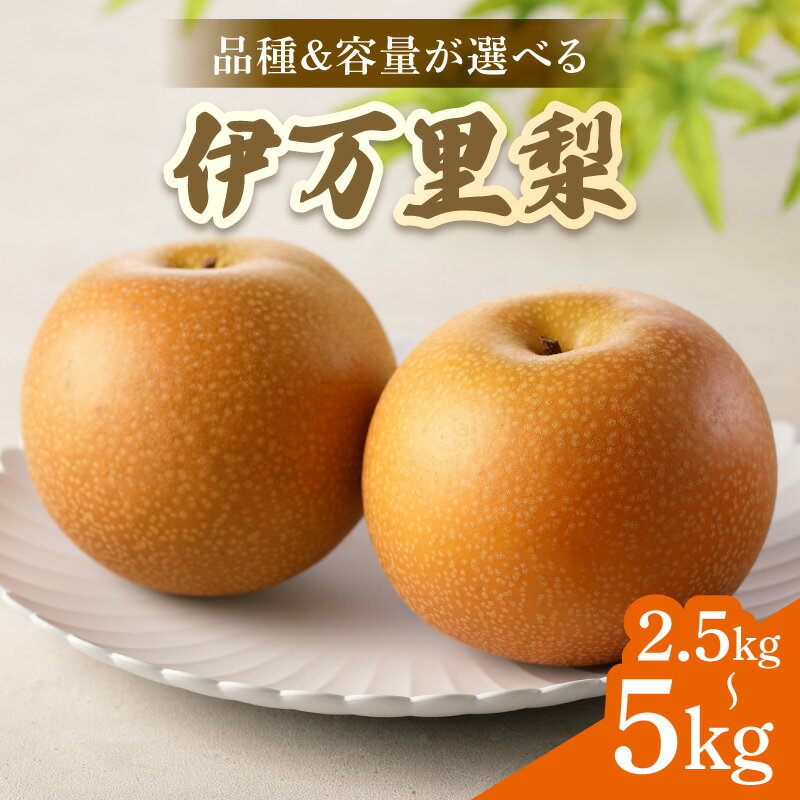 【ふるさと納税】【2026年産先行予約】伊万里梨 ＜品種・容量が選べる／幸水 ・豊水・あきづき・新高・王秋・甘太・愛宕 ＞（ 2.5kg・5kg ）【 ふるさと納税 先行予約 梨 伊万里梨 幸水 ふるさと納税 果物 フルーツ なし 】