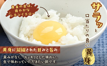 平飼い たまご T074-001 卵 タマゴ エッグ 平飼い卵 卵かけごはん HokkaidoGreenCompany ふるさと納税 北海道 苫小牧市 おすすめ ランキング プレゼント ギフト