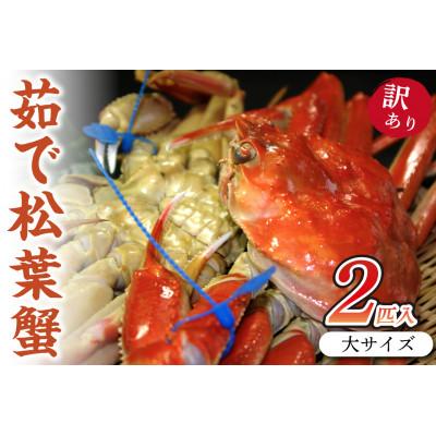 ふるさと納税 京丹後市 日本海産　ブランド蟹　茹で松葉蟹【訳あり】大サイズmatubakani900　2匹入り
