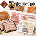 【ふるさと納税】【お歳暮に】かごしま黒豚さつま バラエティセット お肉 豚肉 かごしま黒豚 ギフト 贈答用 のし対応 指定日OK 豚バラ しゃぶしゃぶ用 黒豚 ハンバーグ バラ味噌漬け ロース味噌漬け 餃子 ウインナー 国産 鹿児島県 南九州市 お取り寄せ 送料無料