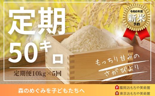 
            【定期便】2024年新米定期便「さがびより」10kg×5回
          