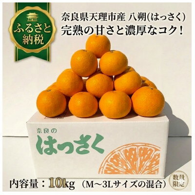 【ふるさと納税】八朔10kgご家庭用【令和9年1月以降】【1601386】