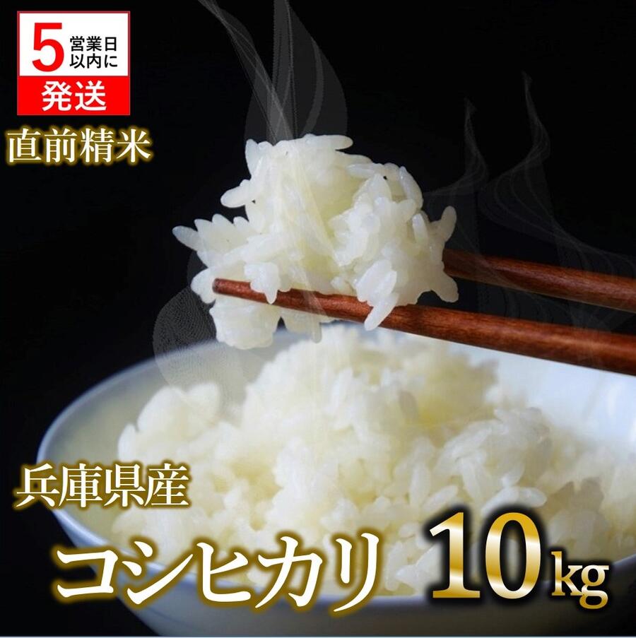 【ふるさと納税】【スピード発送】【数量限定】コシヒカリ 10kg 米 お米 白米 精米 国産 兵庫県産 産地直送 産直 選べる 精米 こしひかり