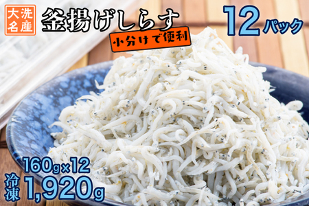 釜揚げしらす 12パック 約 2kg )  しらす 釜揚げしらす_AG028