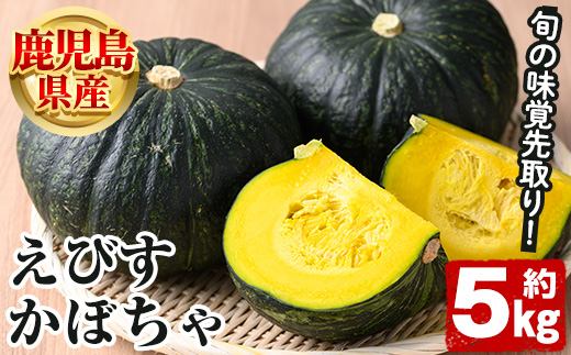 ＜2025年5月以降発送予定＞鹿児島県産 えびすかぼちゃ(約5kg) 国産 野菜 かぼちゃ カボチャ 南瓜 煮物 天ぷら バーベキュー BBQ スイーツ お菓子 期間限定【松永青果】a-12-282-z