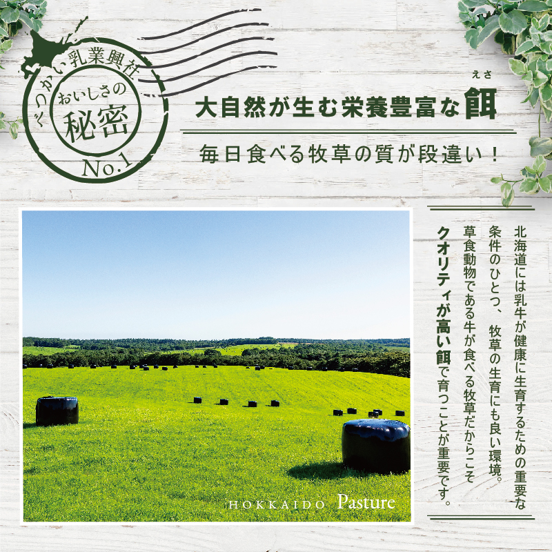 〈べつかい乳業興社〉 プレミアムミルクリッチ（ミルク・めろん各6個） 【高島屋選定品】【TK0000057】