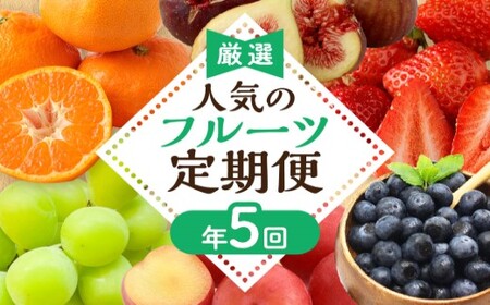 【定期便/年5回】フルーツ JAむなかた厳選！人気フルーツ定期便 _HB0164