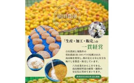 お試し★ 紀州南高梅 はちみつ梅(塩分8％) 200g×1パック / お歳暮 梅干し 梅干 うめぼし 南高梅 はちみつ梅 はちみつ梅干 はちみつ梅干し 蜂蜜 国産 梅 うめ ウメ 紀州みかんはちみつ 