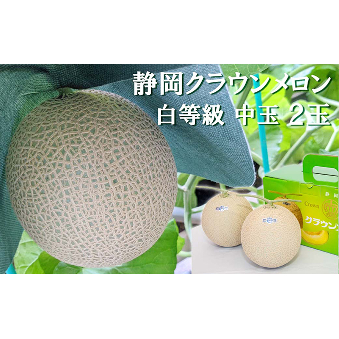 クラウンメロン【並（白等級）】中玉（1.3kg前後）2玉入り 人気 厳選 ギフト 贈り物 デザート グルメ 果物 袋井市
