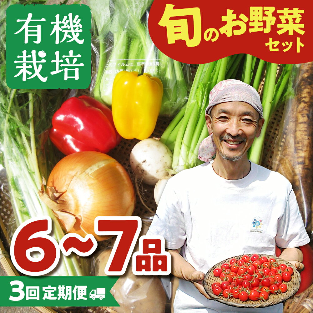 【ふるさと納税】《令和8年産 先行予約受付中》野菜の栄養価コンテストグランプリ農家が贈る 無農薬栽培 野菜セット 6-7品 3回お届け 定期便 お野菜のレシピ付き 野菜 定期便 お楽しみ ありがとうファーム 3万円 30000円《hida0307》 どやな飛騨市