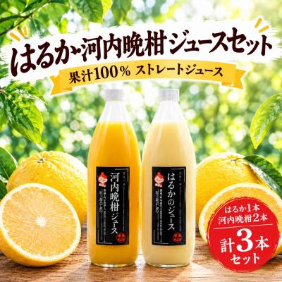 ふるさと納税 愛南町 果汁100%ストレートジュース はるか1本河内晩柑2本 計3本 あいなんマザーズ