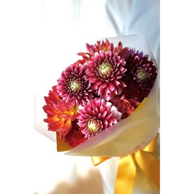 ふるさと納税 芸西村 【毎月定期便】芸西村産生花ダリア花束 ブーケ 初回花瓶付 毎回延命剤付 全3回 |  | 01