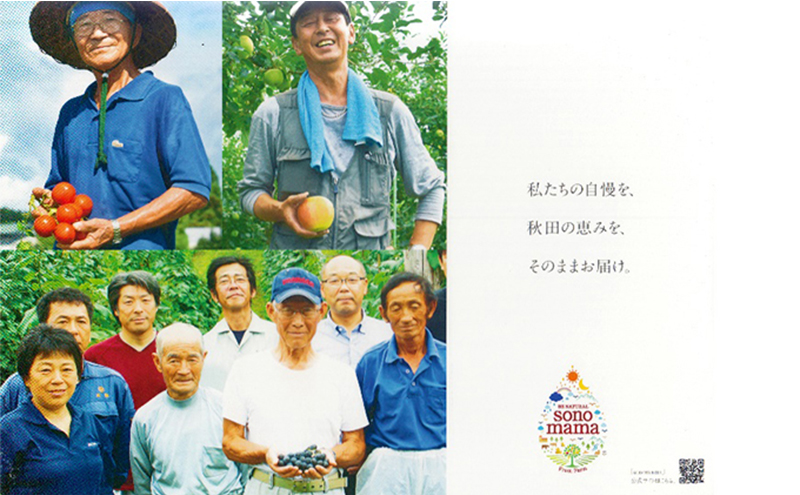 《 定期便 6ヵ月 》 りんごジュース「sonomama」（160g×5本）×2箱 りんご リンゴ ジュース リンゴジュース 飲料