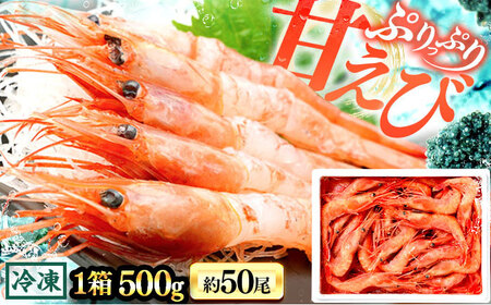 日本海 甘えび 500g (約50尾)×1箱 / 冷凍 あまえび アマエビ 甘エビ 福井県 小浜市 / 小浜海産物 &nbsp;【配送不可地域：北海道・沖縄・離島】 [BFAA082] 