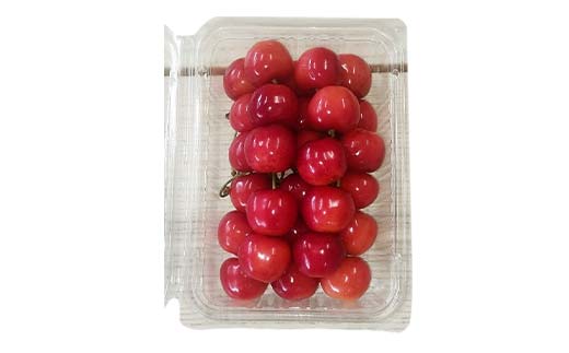令和8年産【先行受付】山形県産さくらんぼ＜紅秀峰＞秀品 約300ｇ×1P Lサイズ以上 期間限定 数量限定 山形県産 サクランボ フルーツ 果物 くだもの 贈答 F4A-0962