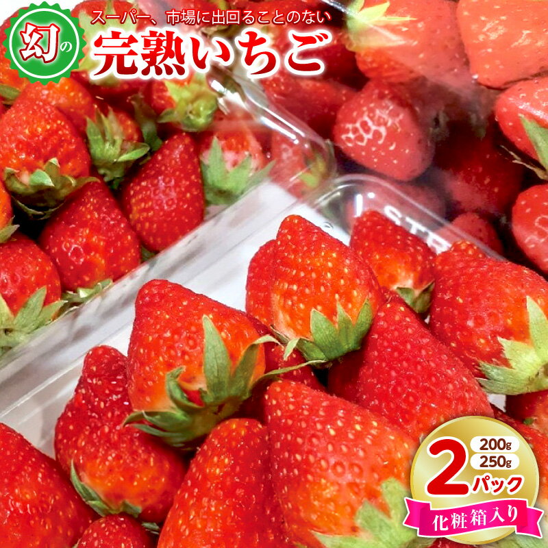 【ふるさと納税】【先行予約】 期間限定 いちご 250g / 200g × 2パック 化粧箱入り 特別規格 55キャンペーン 朝摘み 完熟いちご 国産 泉佐野市産 フルーツ 果物 化粧箱 直送 甘い 濃い 食品 食べ物 ギフト プレゼント お取り寄せ 泉佐野市 辻農園 冷蔵 送料無料