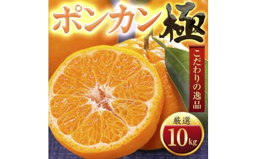 ＜太陽をたっぷり浴びた＞ポンカン＜極＞10kg＜F49-56＞【1509753】 YWTZ048