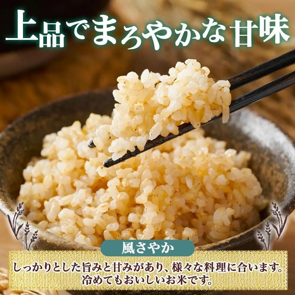 【2026年10月発送】令和8年産 コシヒカリ 風さやか 玄米 各5kg 長野県産 米 お米 ごはん ライス 低GI 甘み 農家直送 産直 信州 人気 ギフト お取り寄せ 平林農園 送料無料 長野県 