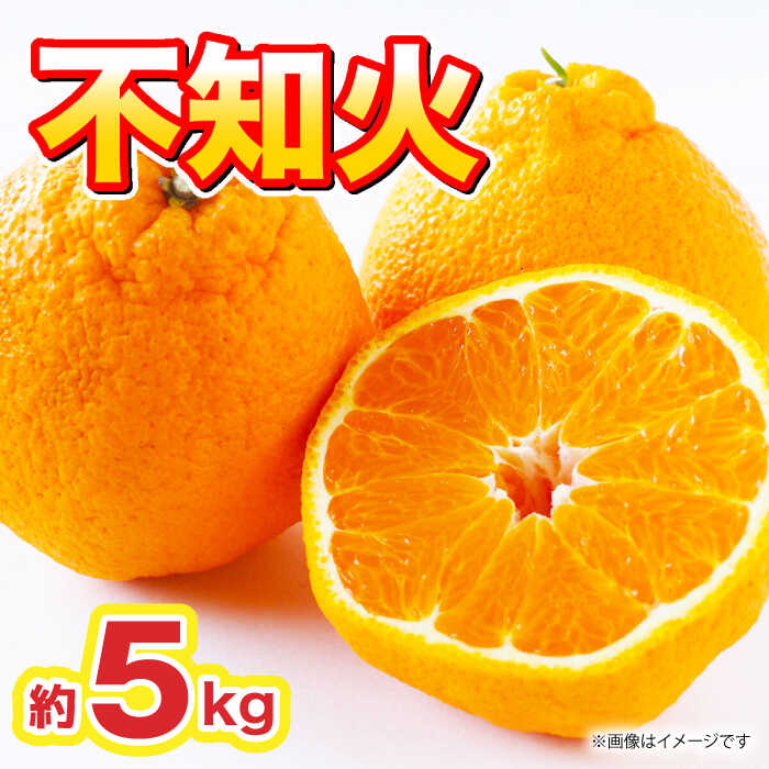 【ふるさと納税】【先行予約】不知火 約5kg【くまふる】[ZBG010]