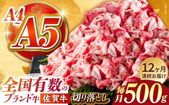 
            【様々な料理に使いやすい】＜全12回定期便＞佐賀牛切り落とし 500g【がばいフーズ】佐賀牛 A5 牛丼 切落とし 切り落し 牛肉 和牛 黒毛和牛 小分け 冷凍 きりおとし 佐賀  12ヶ月 12回 定期 [HCS031]
          