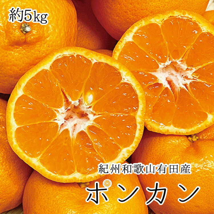 【ふるさと納税】紀州和歌山有田産ポンカン　5kg ≪国産 有田産 和歌山産 フルーツ 果物 紀州≫※2026年2月上旬頃〜2月下旬頃に順次発送予定