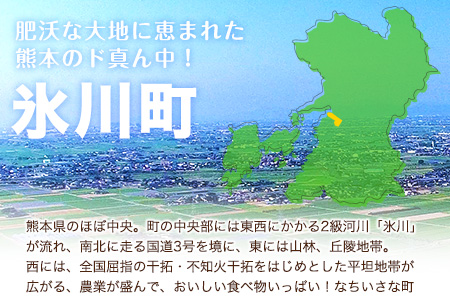 熊本県産 若鶏むね肉 約2kg/もも肉 約2kg 各1袋 たっぷり大満足！計4kg！《1月下旬-3月下旬頃出荷》 鶏肉 とりにく チキン 冷凍