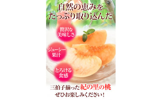 桃もも和歌山県産約2kg《2024物フルーツお取り寄せ桃 桃 桃 桃 年6月中旬-8月中旬頃出荷》---wfn_cwlocal37_q68_23_12000_2kg---｜紀の里の桃6～8玉入り旬の桃