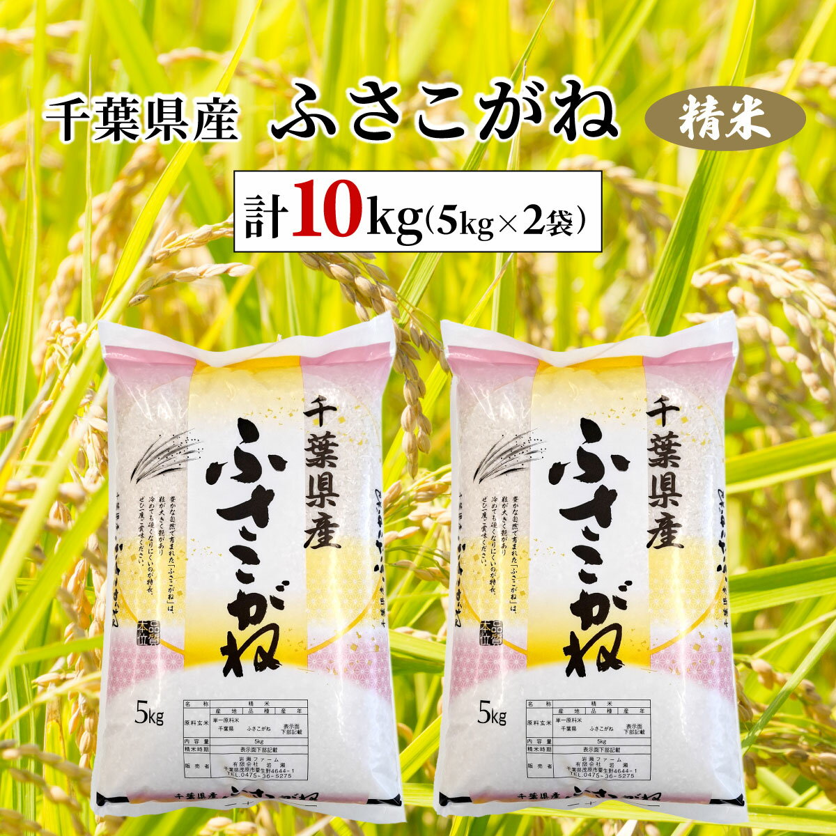 【ふるさと納税】令和6年産 千葉県産ふさこがね 精米 10kg(5kg×2袋) ふるさと納税 ふさこがね 米 精米 こめ 千葉県 茂原市 MBAD004