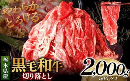 栃木県産黒毛和牛切り落とし 2000g｜数量限定 黒毛 和牛 牛肉 国産牛 国産 ブランド牛 お肉 切り落とし サシ 霜降り 甘い ステーキ すき焼き しゃぶしゃぶ 焼肉 切落し 上品 アレンジ 美味しい 料理 主婦 とちぎ  栃木県 矢板市