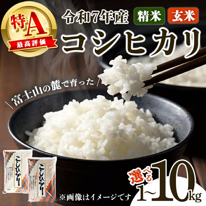 【ふるさと納税】【 7営業日 以内 発送 】高評価 ★4.86 米 令和7年産 コシヒカリ 1kg or 2kg or 5kg or 10kg 【 選べる 精米 or 玄米 】＜ 厳選 特A 蔵出し 限定品 ＞ 米 お米 令和7年産 厳選 特A コシヒカリ 白米 玄米 5kg 10kg 静岡県産 国産 すぐ 届く スピード発送