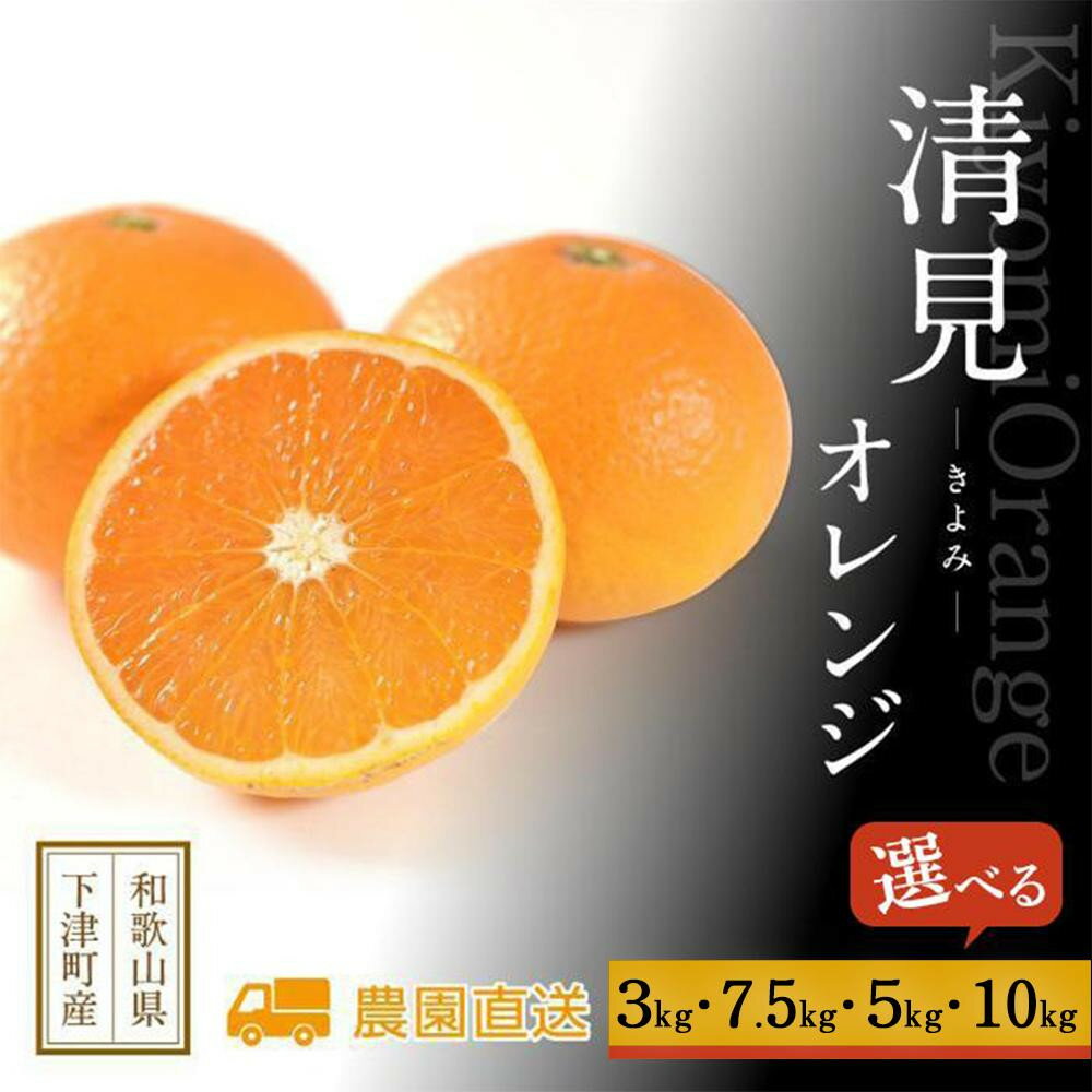 【ふるさと納税】【選べる内容量】清見オレンジ 約3～10kg サイズおまかせ 《赤秀》 和歌山県産 農園直送 まごころ産直みかん 【北海道・沖縄県・一部離島 配送不可】 | フルーツ 果物 くだもの 食品 人気 おすすめ 送料無料 みかん きよみ 清見タンゴール 清美 柑橘 贈答