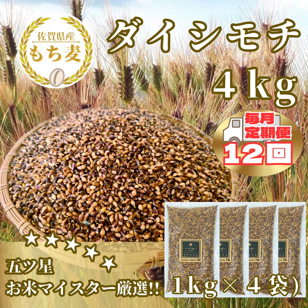 CIB44_【１２回定期便】ダイシモチ４ｋｇ もち麦 キラリ もち麦ごはん