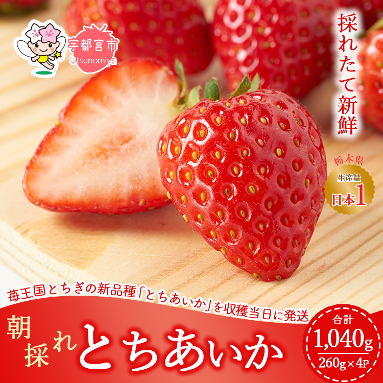 【先行予約】採れたて新鮮 栃木のいちご とちあいか 1,040g（260g×4パック） ｜ いちご 栃木 とちあいか 甘い 糖度 旬 新鮮 フルーツ 果物 アレンジ スイーツ　※北海道・沖縄・離島への配送不可　※2025年1月下旬～3月上旬頃に順次発送予定