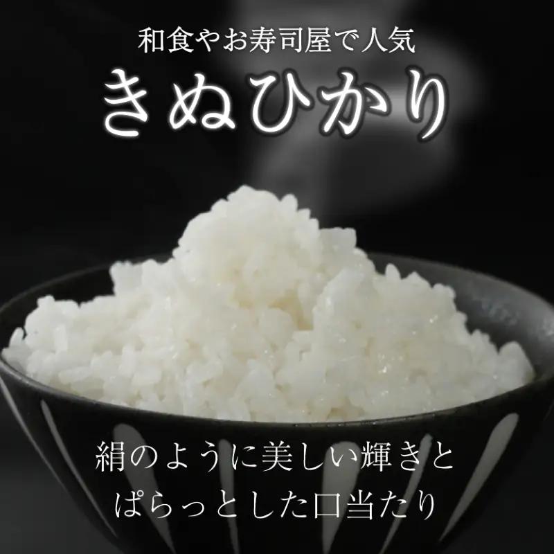 【令和8年産】 先行予約 新米 きぬひかり 5kg 3回定期便 令和8年産 定期便 米 キヌヒカリ