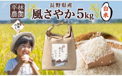 ＜先行予約＞無地熨斗 令和7年産 風さやか 白米 5kg×1袋 長野県産 米 精米 お米 ごはん ライス 甘み 産直 信州 人気 ギフト 平林農園 熨斗 のし 名入れ不可 送料無料 長野県 大町市