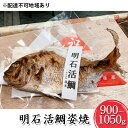 【ふるさと納税】明石活鯛姿焼 900～1050g[ 明石鯛 鯛 焼鯛 祝い鯛 お祝い ]　【 魚貝類 たい タイ 魚 加工食品 お食い初め 行事 】