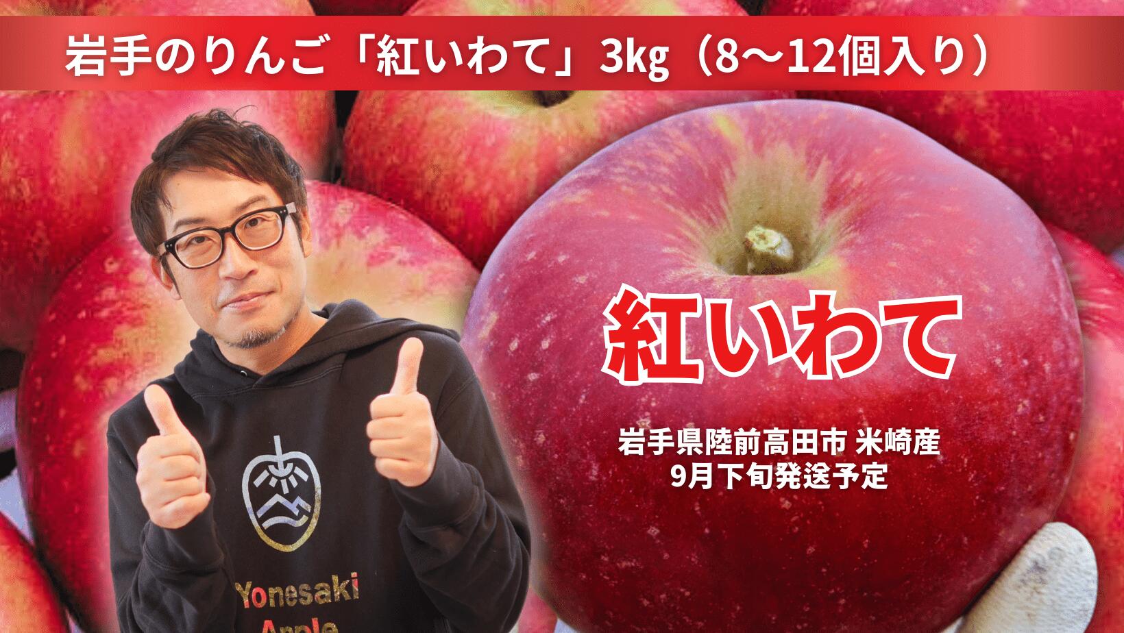 【ふるさと納税】先行予約 米崎りんご 紅いわて 3kg ( 8〜12個 ) 奇跡の果実 [ りんご リンゴ 林檎 フルーツ 果物 くだもの 旬 人気 おすすめ お取り寄せ リピート セット 詰め合わせ 手土産 ギフト プレゼント 贈り物 贈答品 国産 岩手 陸前高田 ]