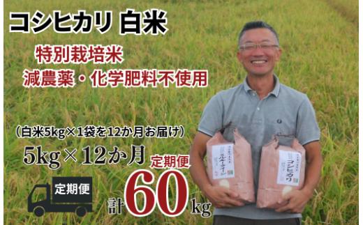 【コシヒカリ 定期便 白米 5kg✕12か月連続 松原グリーンファーム】 特別栽培米 コシヒカリ 白米 5kg （5kg×1袋） 12か月  合計 60kg  令和8年産 2026年産 小分け 単一米 精米  減農薬 化学肥料不使用 埼玉県認証 埼玉県 川島町