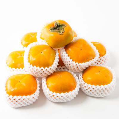 ふるさと納税 橋本市 ケーズファーム　平たねなし柿　12〜13個入　2L〜3Lサイズ |  | 01