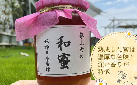 【福岡県築上町産】上村さん家の はちみつ 「 築上町の 和蜜 」600g【上村 忍】 日本 蜜蜂 にほん みつばち [ABBX002]