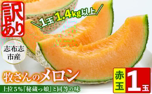 【冬限定・数量限定】牧さんの訳ありメロン 赤玉(赤肉)1玉 メロン マスクメロン 果物 くだもの デザート 赤肉 訳あり a1-057-w