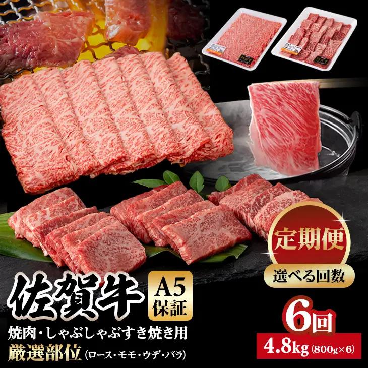【定期便】佐賀牛 A5 焼肉・しゃぶしゃぶすき焼き 厳選部位 合計800g（400g x 各1P）6回定期 計4.8kg(800gx6)  桑原畜産 Q126-003
