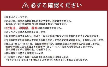 葡萄詰合せ（シャインマスカット 晴王 1房（580g以上）・ニューピオーネ 1房（580g以上） ハウス栽培【2026年7月上旬～8月上旬まで順次発送予定】葡萄 ぶどう ブドウ ピオーネ マスカット