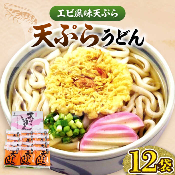 【ふるさと納税】天ぷら うどん 12食 《豊前市》【富士菊】[VAI010] 天ぷらうどん かき揚げ 海老 えび 麺 福岡