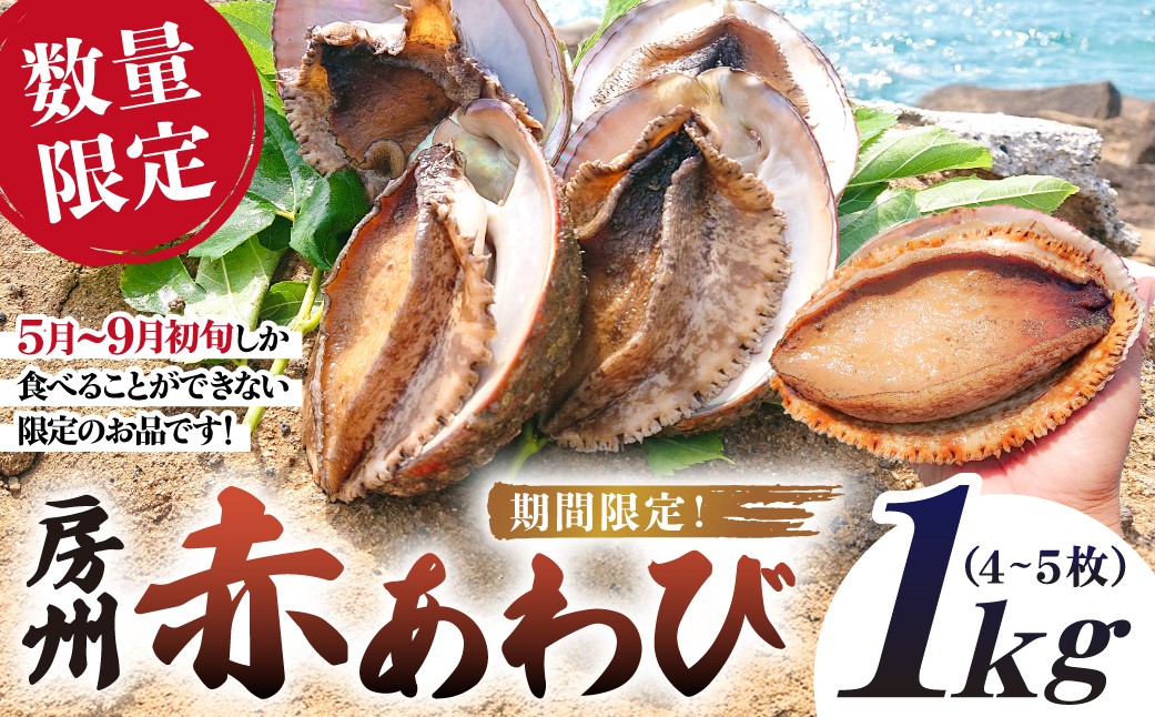 
            【先行受付 2026年5月～9月初旬発送予定】【数量限定】房州赤あわび 1kg（4～5枚） mi0020-0006 【 特産品 赤あわび アワビ 海鮮 貝 海の幸 限定 】
          