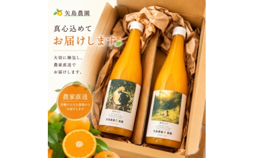 ＜矢島みかん農園＞手剥きみかん丸ごと100%ジュース720ml2本|みかん農園直送～自然なままの味【1695140】