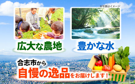 合志の旬のお野菜セット 15〜16品【一般社団法人クラッシーノこうし】[AYAB112]
