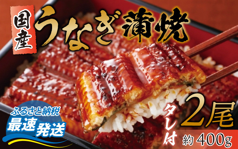 
            冷蔵 国産 うなぎ 蒲焼 2尾 約400g タレ付 / ウナギ 鰻 土用の丑の日 【配送不可地域：北海道・沖縄・離島】 小浜市 / 真魚源 [BFCJ002] 
          