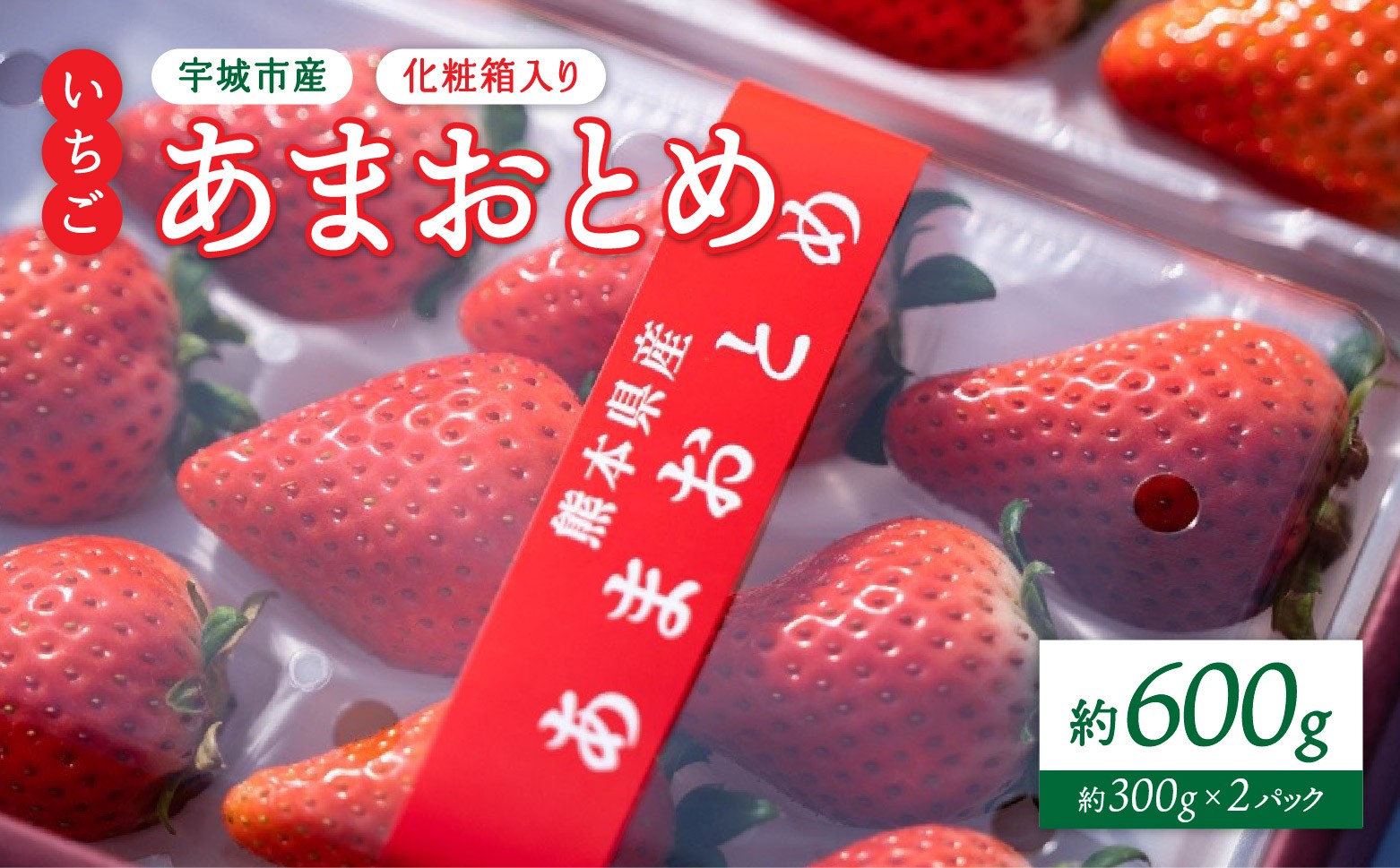 
            先行予約 いちご 化粧箱入り 宇城市産 あまおとめ 約600g（約300g×2パック）【NAGATA FARM】【2025年1月上旬～3月下旬発送予定】合計600g 果物 くだもの フルーツ 果実 苺 イチゴ 
          