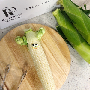 【 2026年 先行予約 】おまかせ 訳あり とうもろこし 15本 【 とうもろこし 】